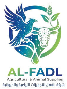 1-removebg-preview